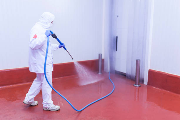 Best Pre-Holiday Cleaning  in North Laurel, MD